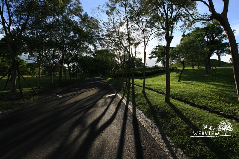 林蔭大道(實景)